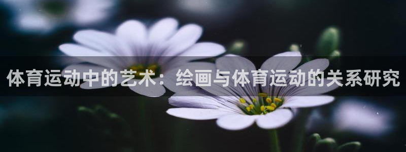 体育运动中的艺术：绘画与体育运动的关系研究