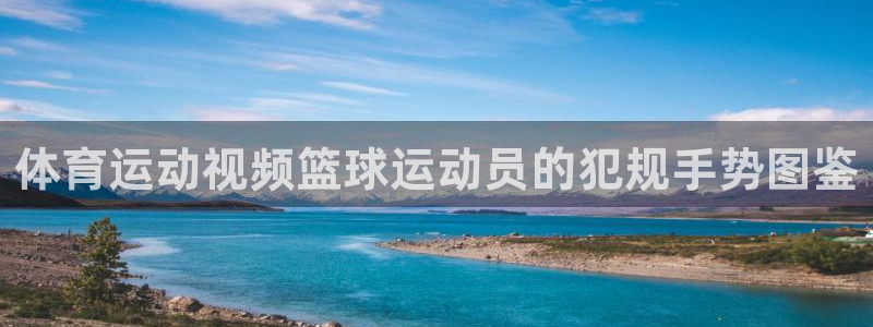 体育运动视频篮球运动员的犯规手势图鉴