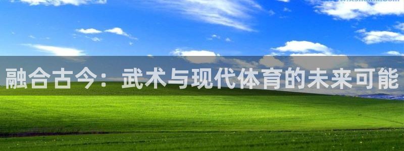 融合古今：武术与现代体育的未来可能