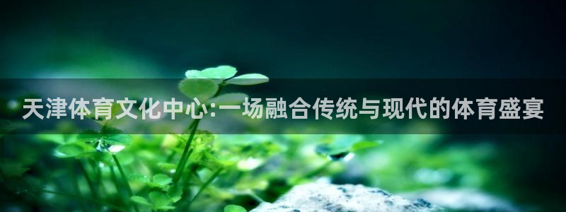 天津体育文化中心:一场融合传统与现代的体育盛宴