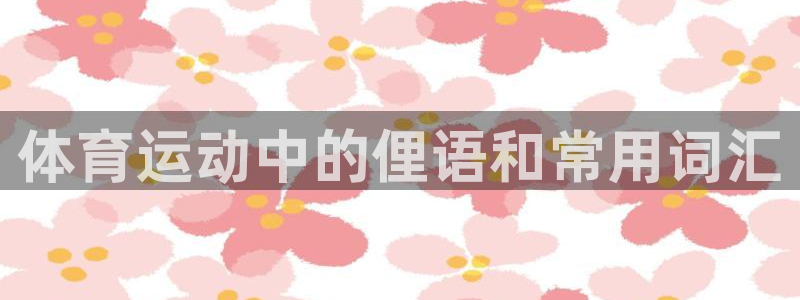 体育运动中的俚语和常用词汇